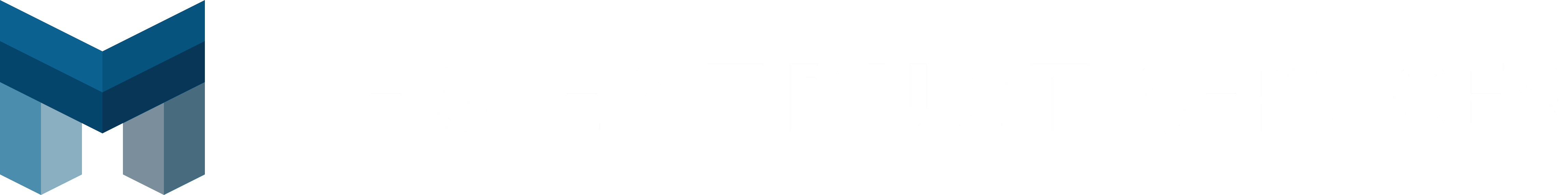 Meister Trust Services